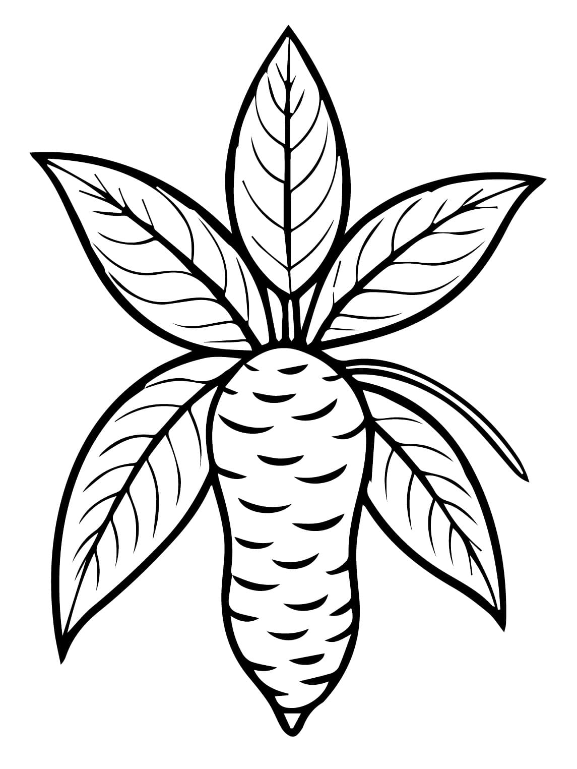 Desenho de Foto de Mandioca para Colorir