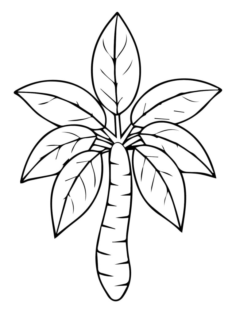 Desenho de Mandioca Grátis para Colorir