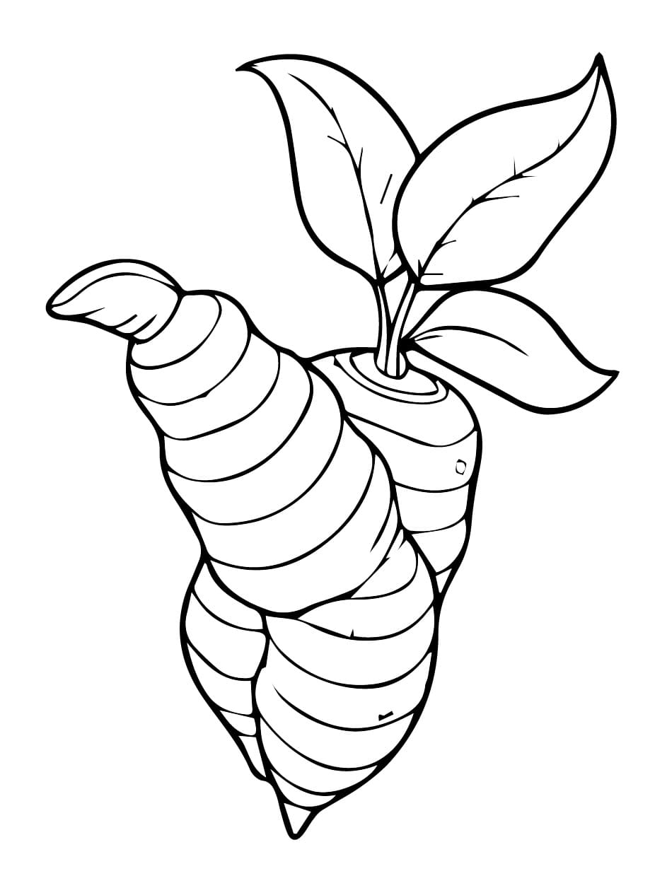 Desenho de Mandioca Imprimivel para Crianças para Colorir