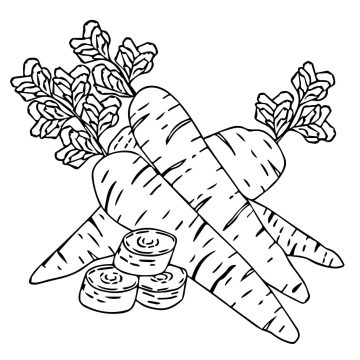 Desenho de Mandioca para crianças de 3 Ano para Colorir