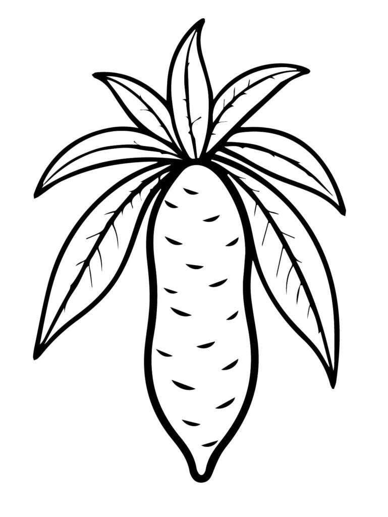 Desenho de Pintura de Mandioca para Colorir