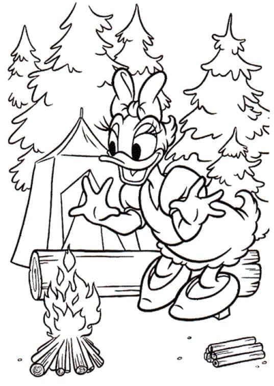 Desenho de Margarida Pata Vai Acampar para Colorir