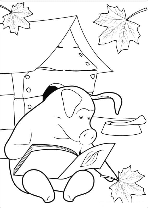 Desenho de Rosie Masha e o Urso para Colorir