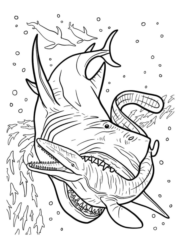 Desenho de Megalodon e Mosasaurus para Colorir