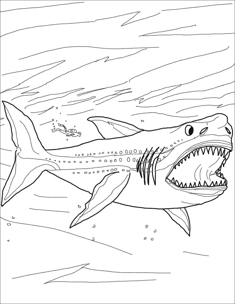 Desenho de Pintura de Megalodon para Colorir