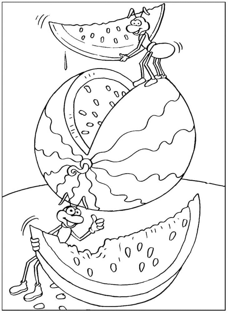 Desenho de Formigas Comem Melancia para Colorir