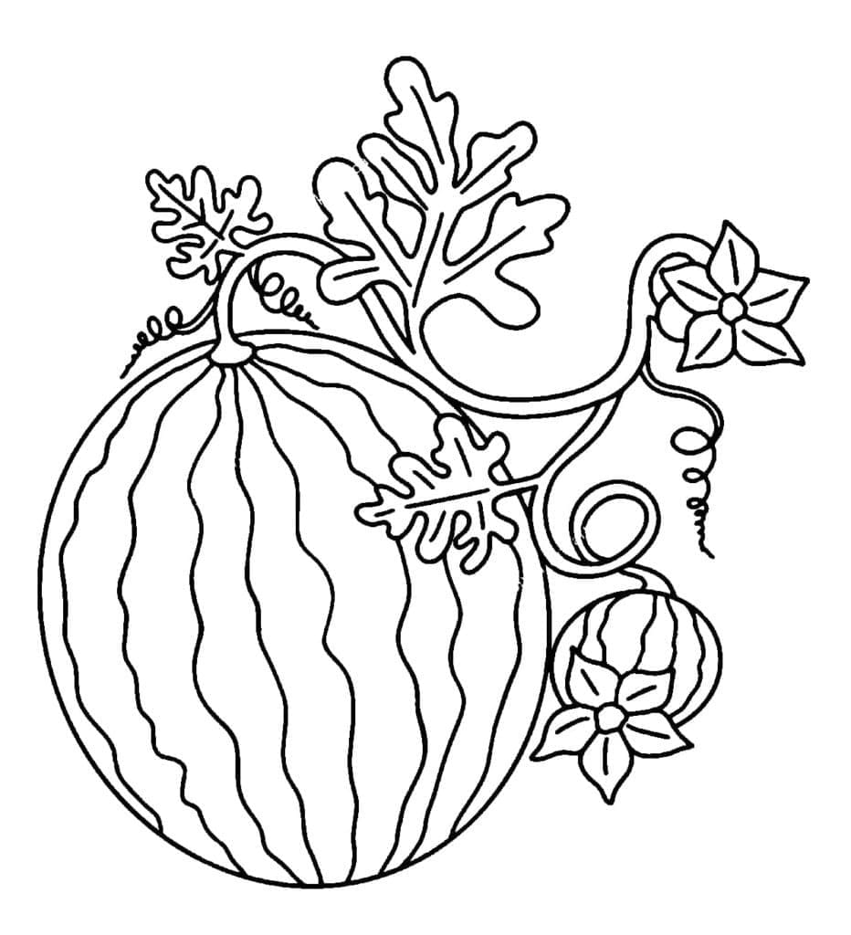 Desenho de Melancia para Colorir em Atividade Educativa