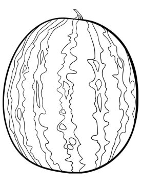 Desenho de Uma Melancia para Colorir
