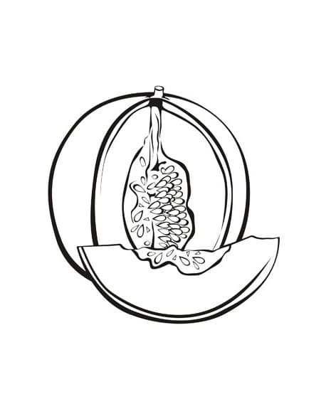 Desenho de Melão Fruta para Colorir
