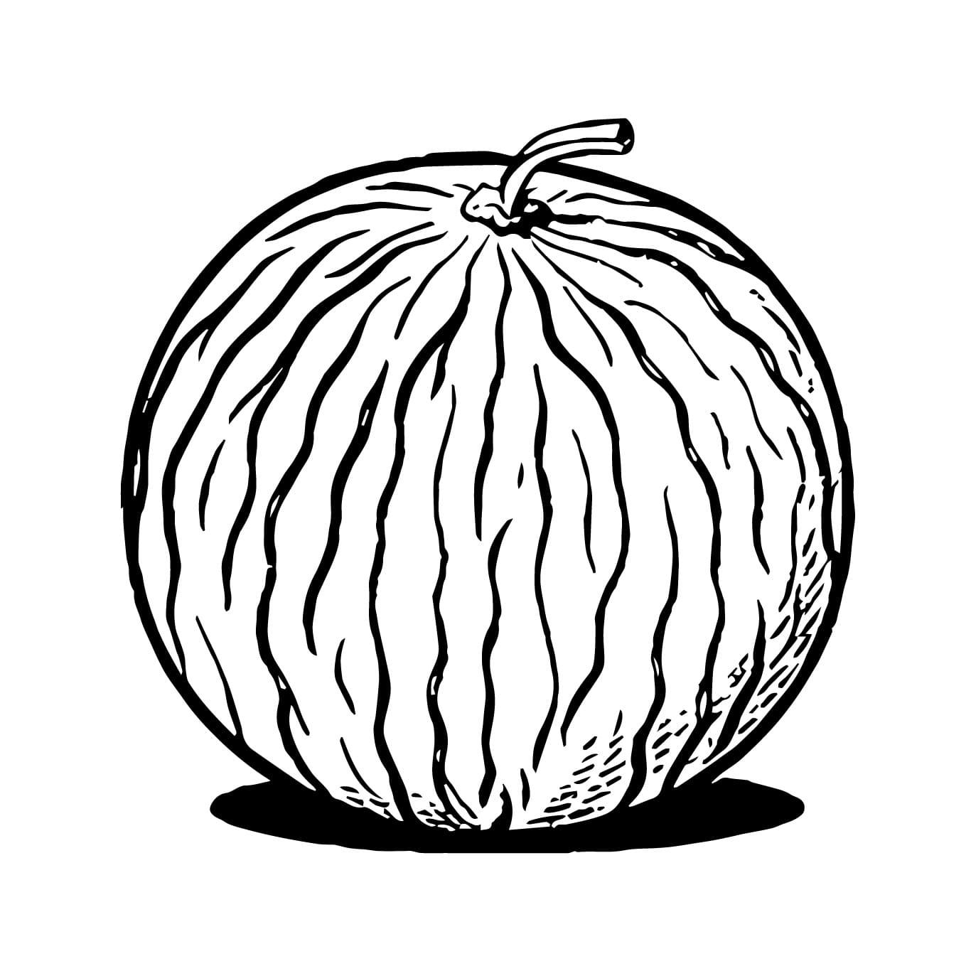 Desenho de um Melão para Colorir