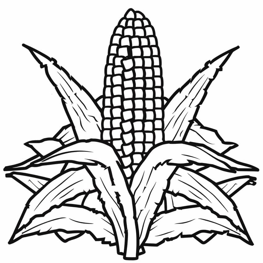 Desenho de Imagem de Milho para Colorir
