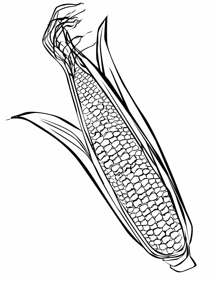 Desenho de Milho Cozido para Colorir