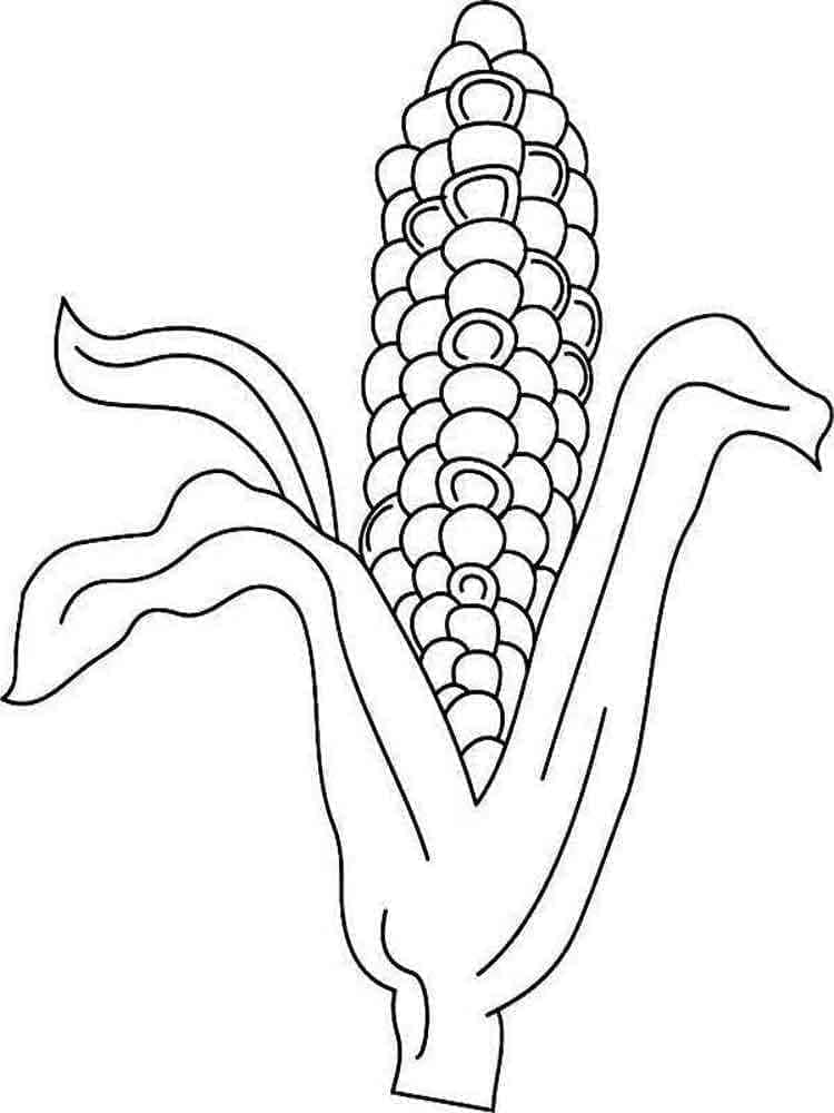 Desenho de Milho Espiga Infantil para Colorir