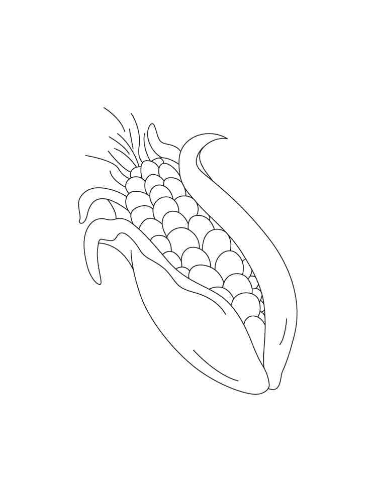 Desenho de Milho Fácil para Colorir