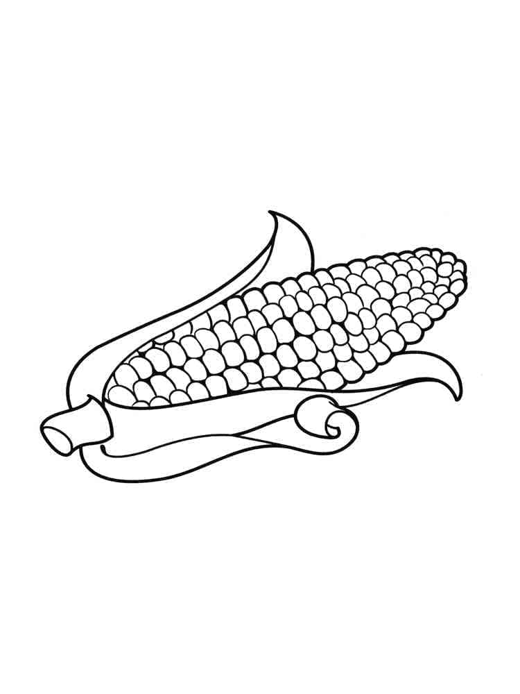 Desenho de Milho Grátis para Colorir