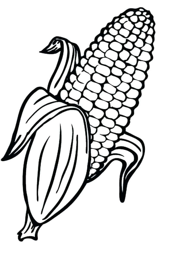 Desenho de Milho Imprimivel para Colorir