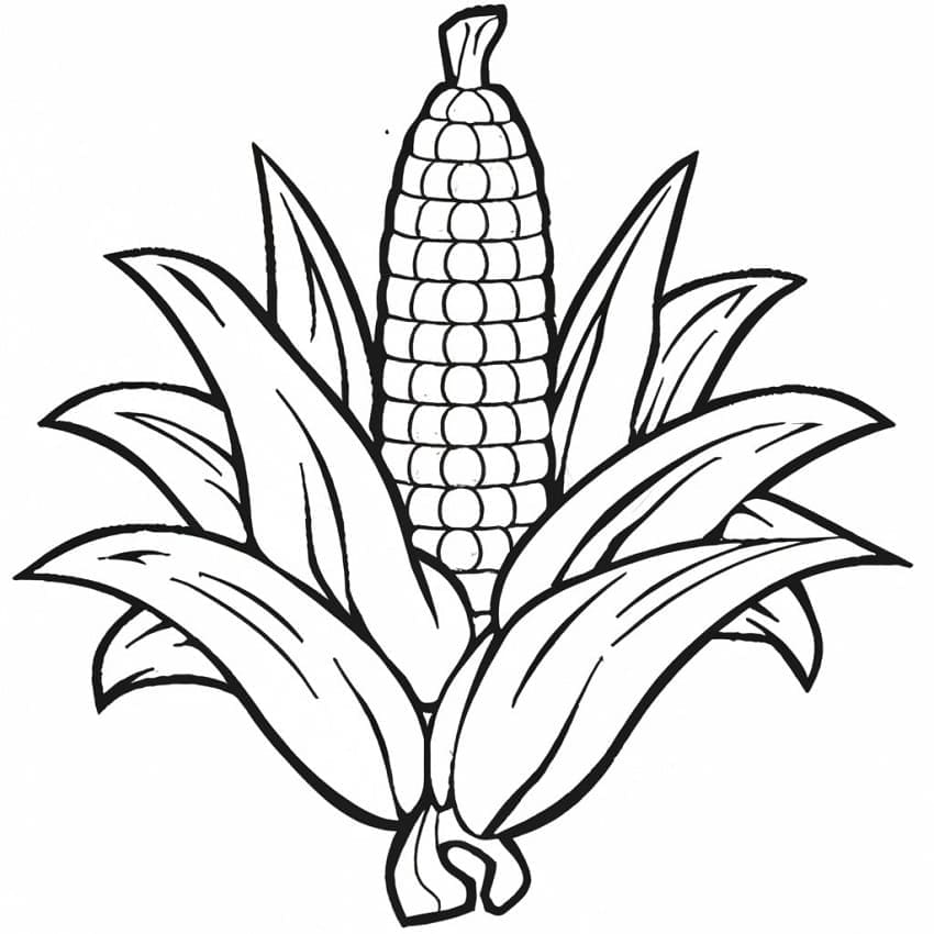 Desenho de Milho Imprimivel para Crianças para Colorir