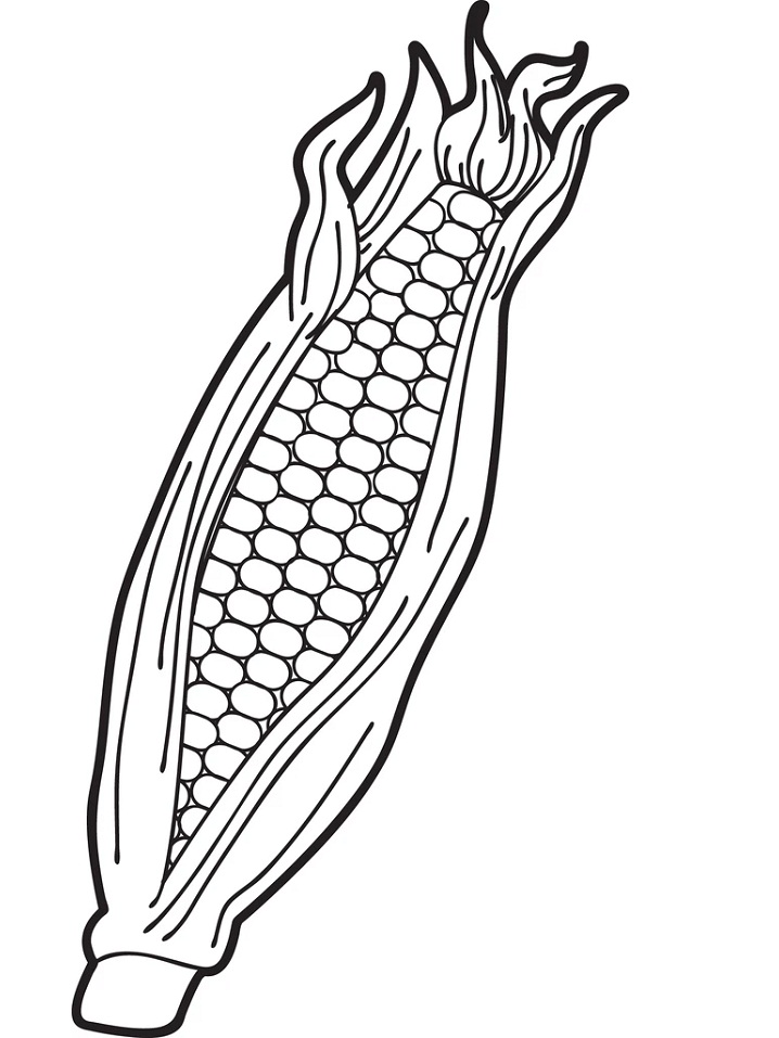 Desenho de Milho na Espiga para Imprimir