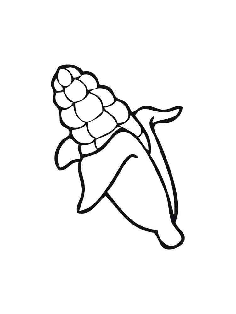 Desenho de Milho Simples para Colorir