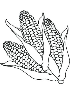 Desenho de três Milho para Colorir