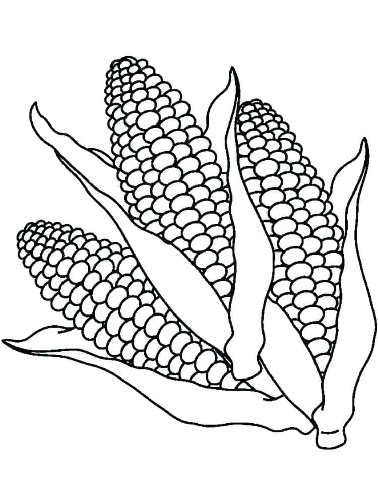 Desenho de Três Milho para Colorir