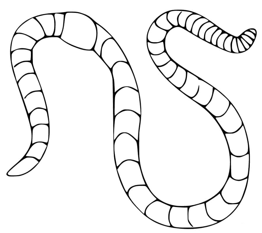 Desenho de Minhoca Fácil para Colorir