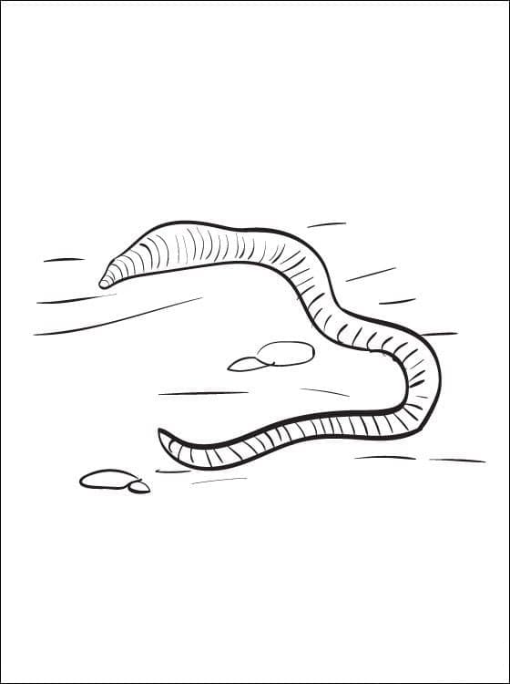 Desenho de Minhoca Rastejando na Terra para Colorir