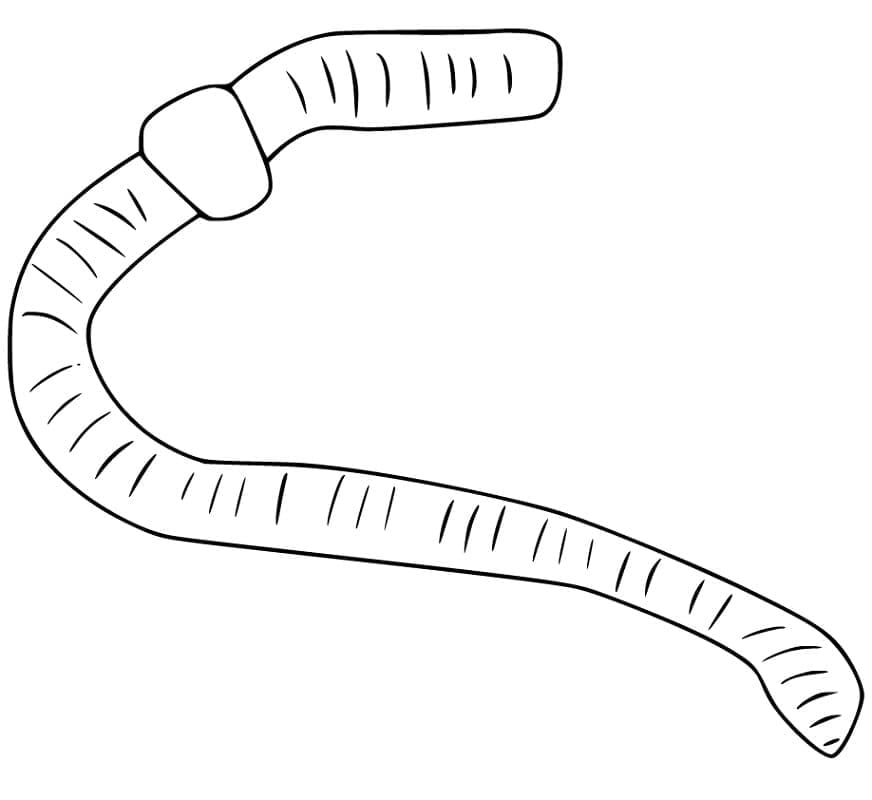 Desenho Minhoca Fácil de Colorir