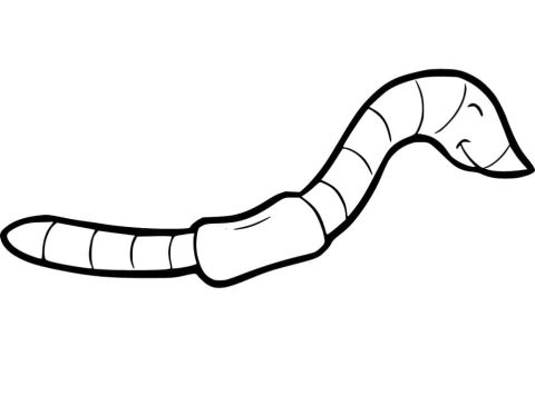 Desenho Uma Minhoca para Colorir