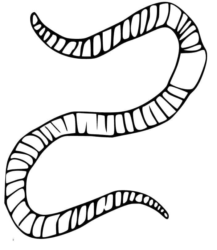 Pdf de Desenho com Minhoca Fácil para Colorir