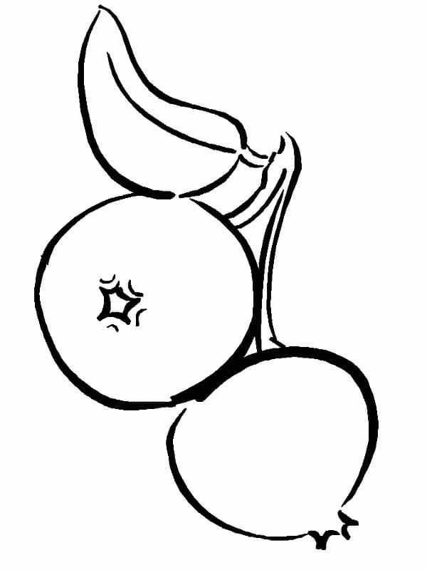 Desenho de Dois Mirtilos para Colorir
