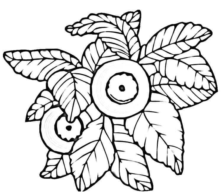 Desenhos de Mirtilo para Colorir