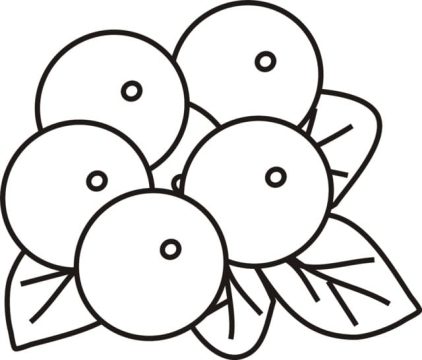 Desenho de Mirtilos Simples para Colorir
