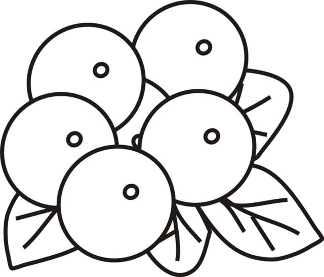 Desenho de Mirtilos Simples para Colorir