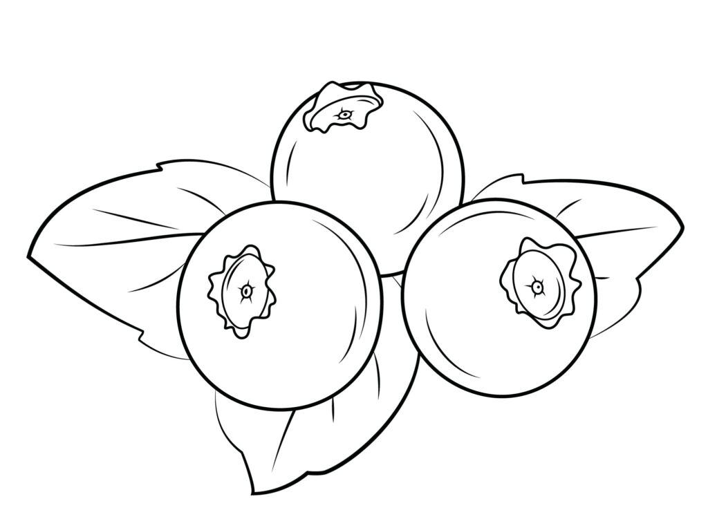 Desenho de Três Mirtilos para Colorir