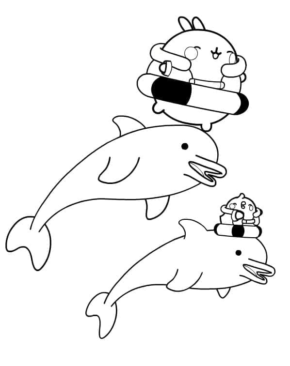 Desenho de Molang e Golfinhos para Colorir