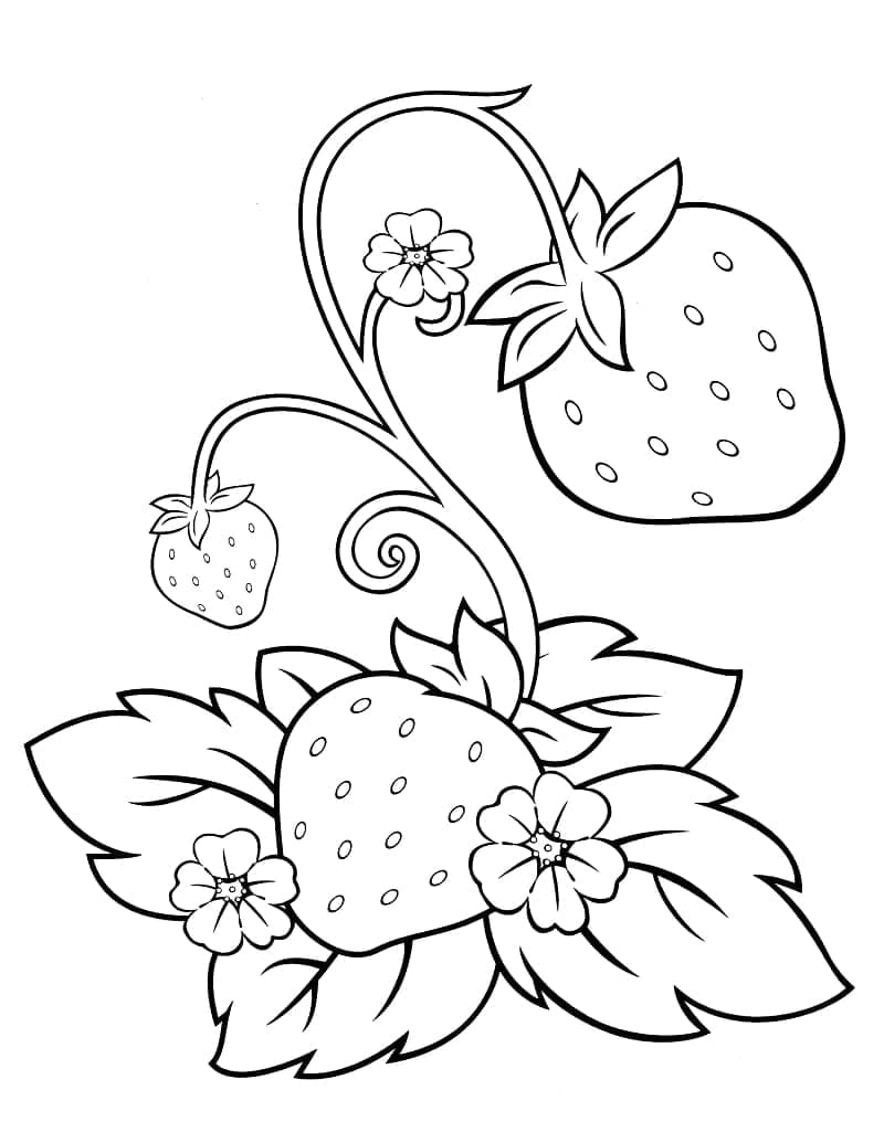 Desenho de Flores e Morangos para Colorir