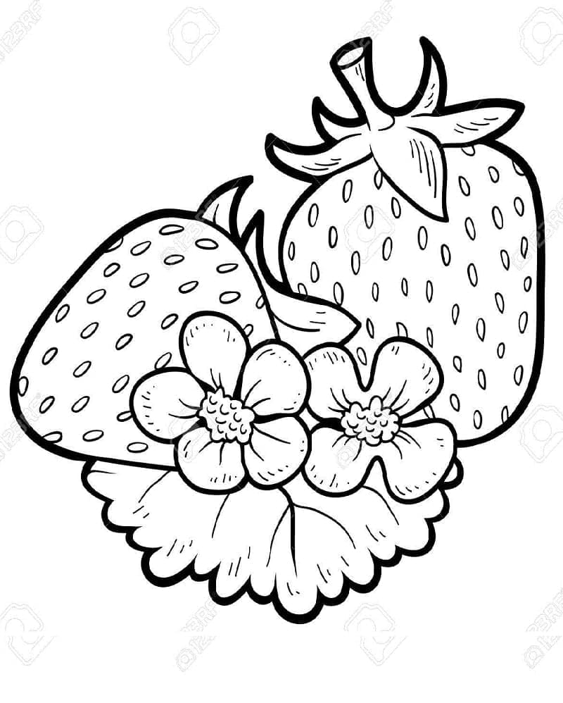 Desenho de Morangos e Flores para Colorir