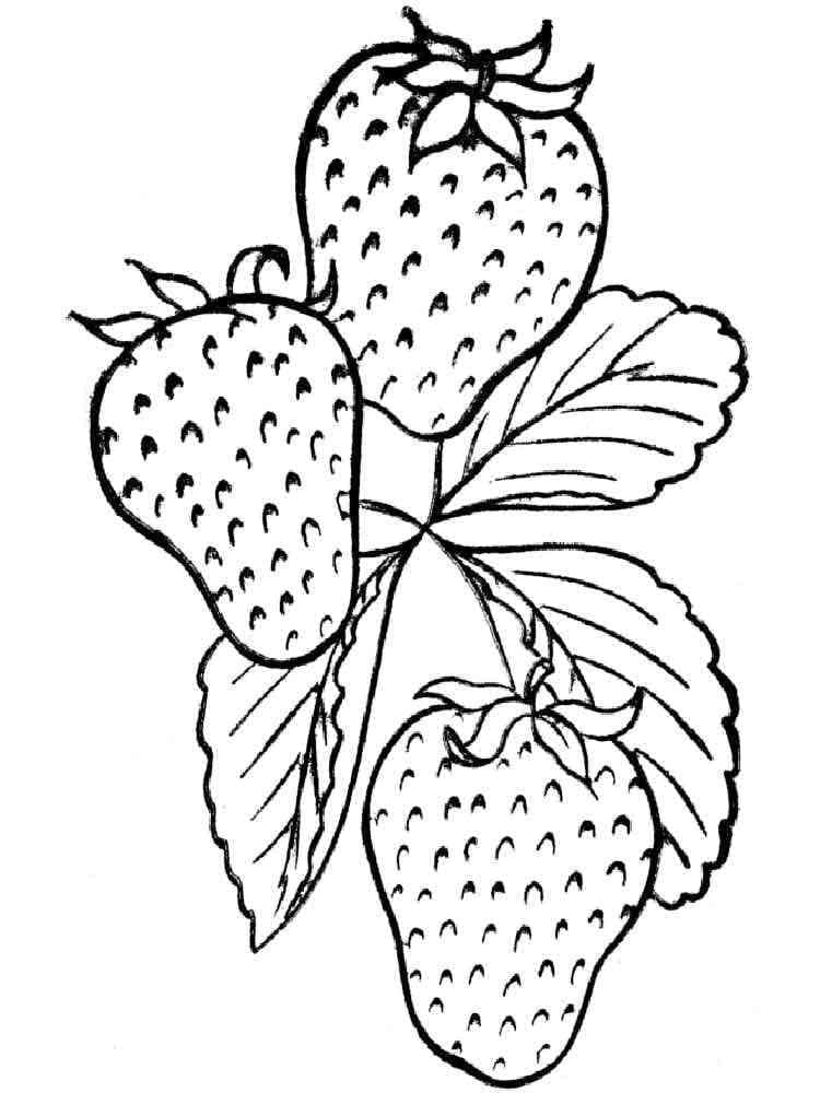 Desenho de Três Morangos para Colorir