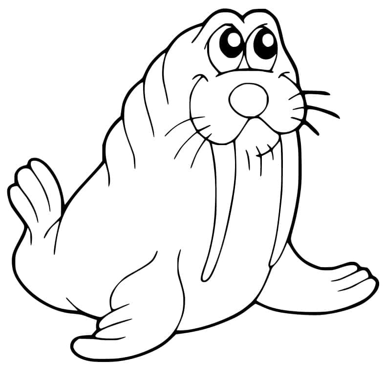 Desenho de Adorável Morsa para Colorir