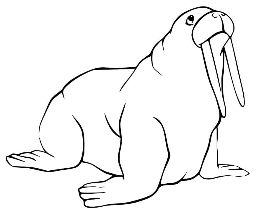 Desenho de Grande Morsa para Colorir
