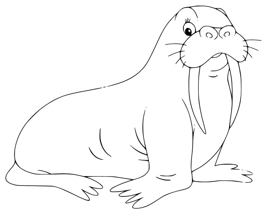 Desenho de Morsa Amigável para Colorir