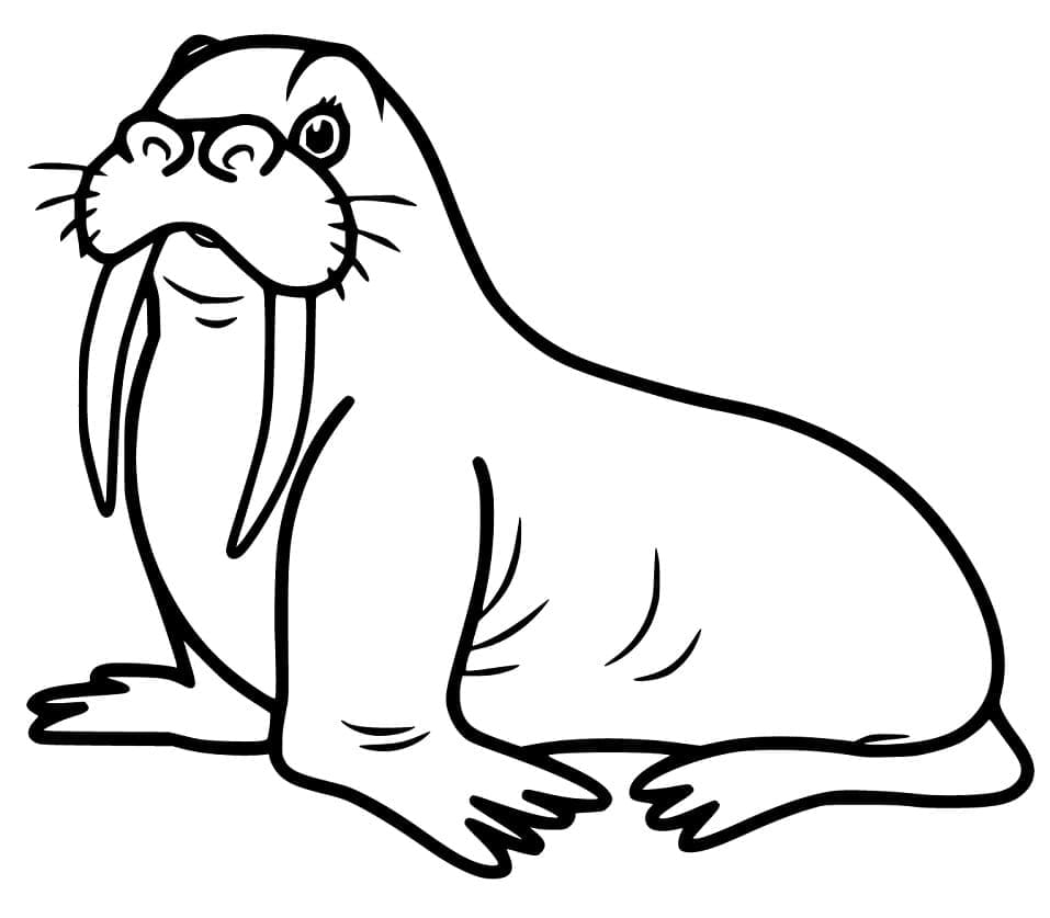 Desenho de Morsa Baixar Imprimivel