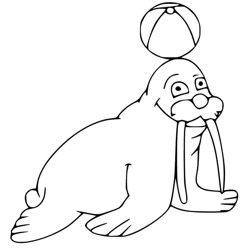 Desenho de Morsa com uma Bola para Colorir