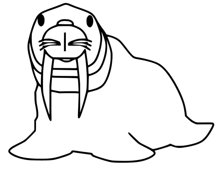 Desenho de Morsa Desenho Educativo