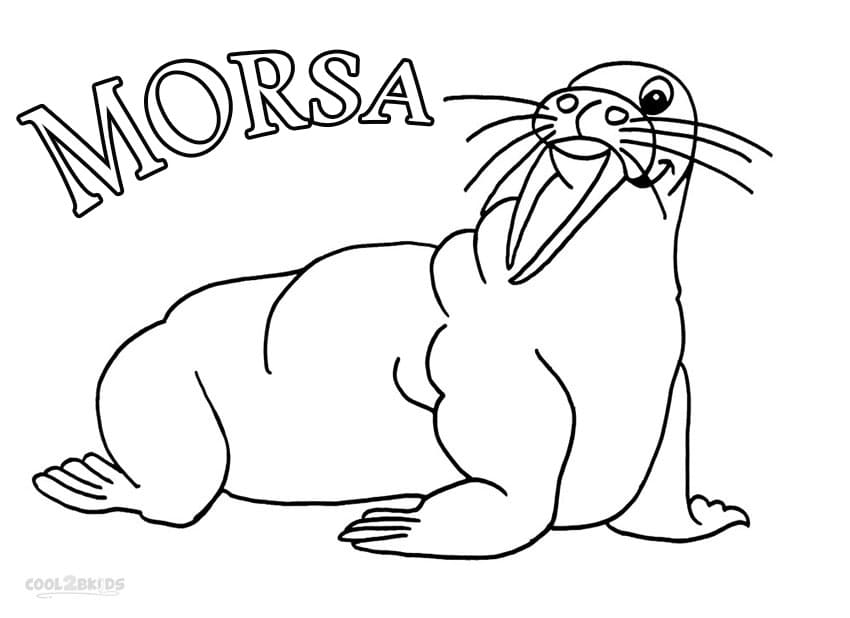 Desenho de Morsa Engracada para Colorir