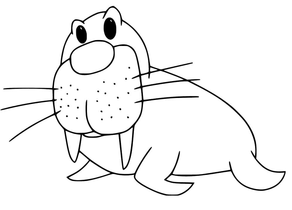 Desenho de Morsa Fácil para Colorir