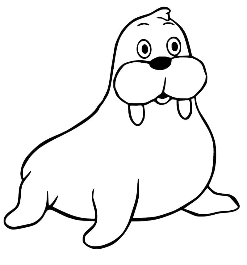 Desenho de Morsa Feliz para Colorir