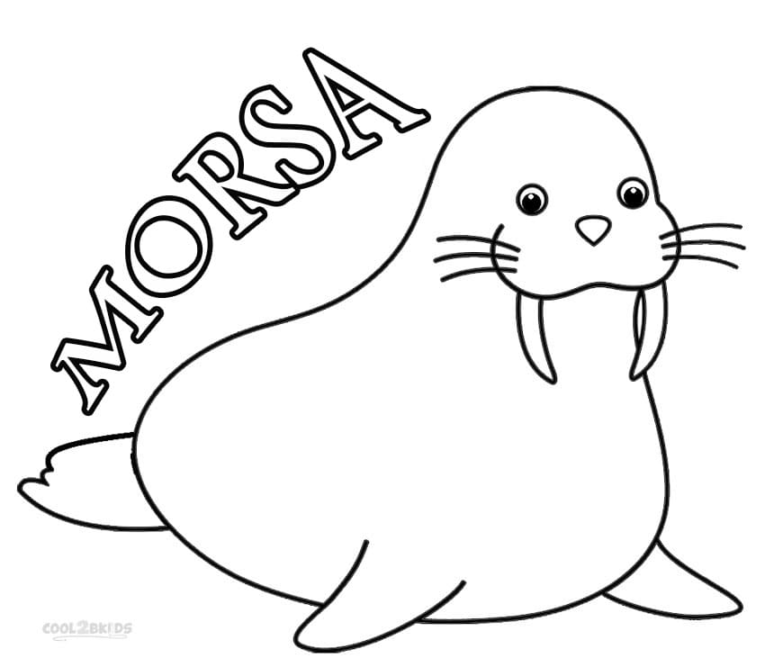 Desenho de Morsa Fofa para Colorir
