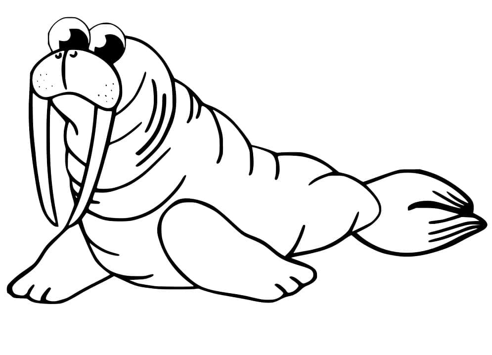 Desenho de Morsa Infantil para Colorir